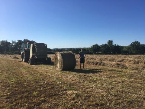 C'est l'été ! La Ferme des Tilleuls se lance dans les balles de paille et de foin !