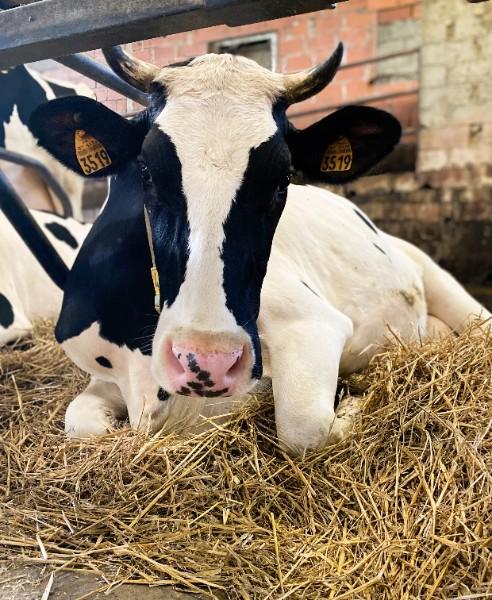 Une amélioration de nos performances environnementales pour une qualité de lait optimale