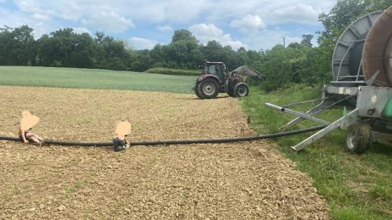 Assurer la croissance : l’importance des premiers arrosages 