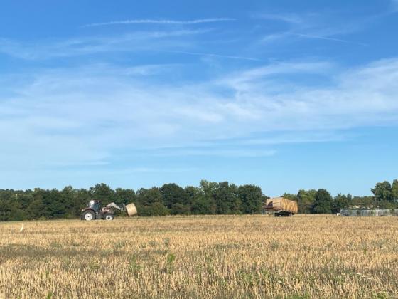 C'est l'été ! La Ferme des Tilleuls se lance dans les balles de paille et de foin !