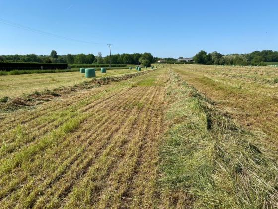 Les travaux des champs : le point de départ d’une année agricole réussie