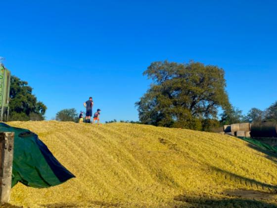 Une journée d’ensilage à la ferme : préparer l’alimentation de nos vaches pour l’année