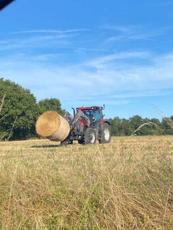 C'est l'été ! La Ferme des Tilleuls se lance dans les balles de paille et de foin !