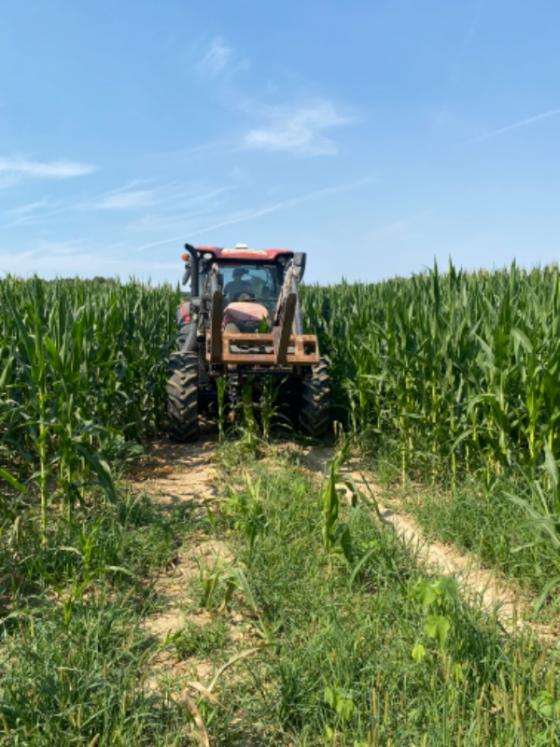 L'irrigation du maïs : une ressource précieuse pour la Ferme des Tilleuls